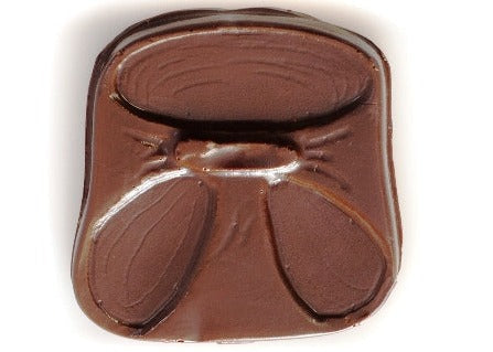 Milk chocolate molded into the shape of a two-dimensional diaper.