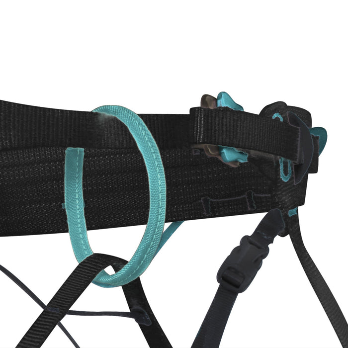 Choucas Harness