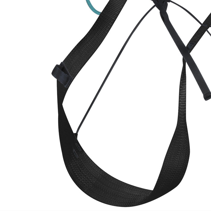 Choucas Harness