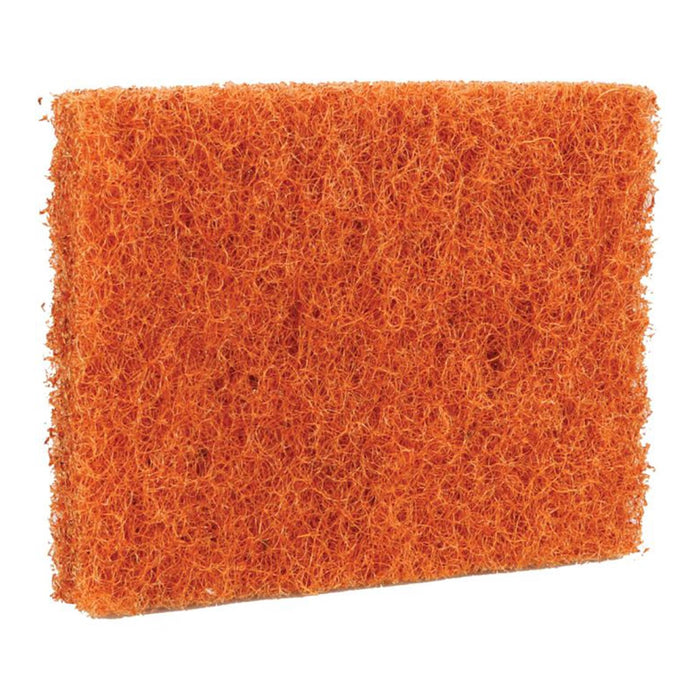Coconut Scrubber 4 Pack