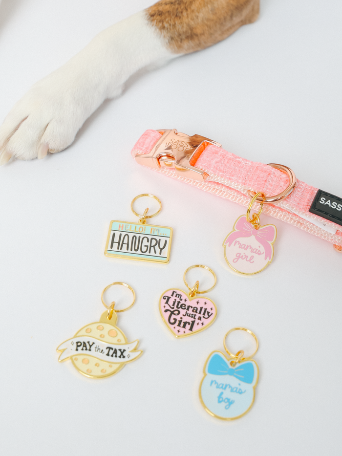A dog’s paw rests beside a Sassy Woof pink collar with gold hardware and five playful charms, including the gold “Mama’s Girl” Collar Tag.