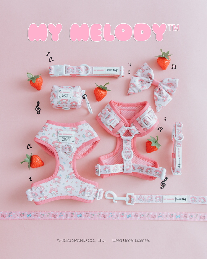 Sassy Woof's Dog Adjustable Harness - My Melody™ plus two harnesses, a leash, bow, bag, collar, and strawberry props are arranged on a pastel pink background with music notes and a measuring tape at the bottom.