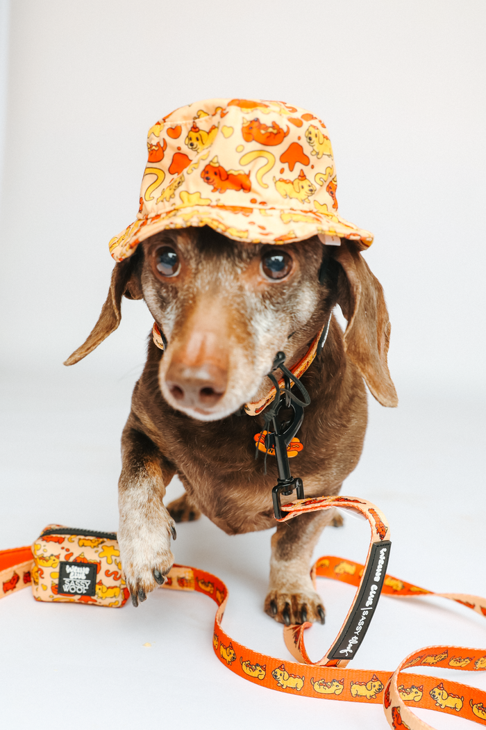 INFLUENCER_CONTENT | @WINSTONTHEDOX |