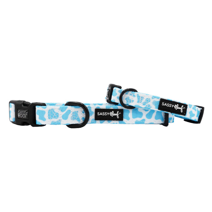 Two Sassy Woof Dog Collar - Blueberry Milk in blue and white pattern with black buckles are shown on a white background.