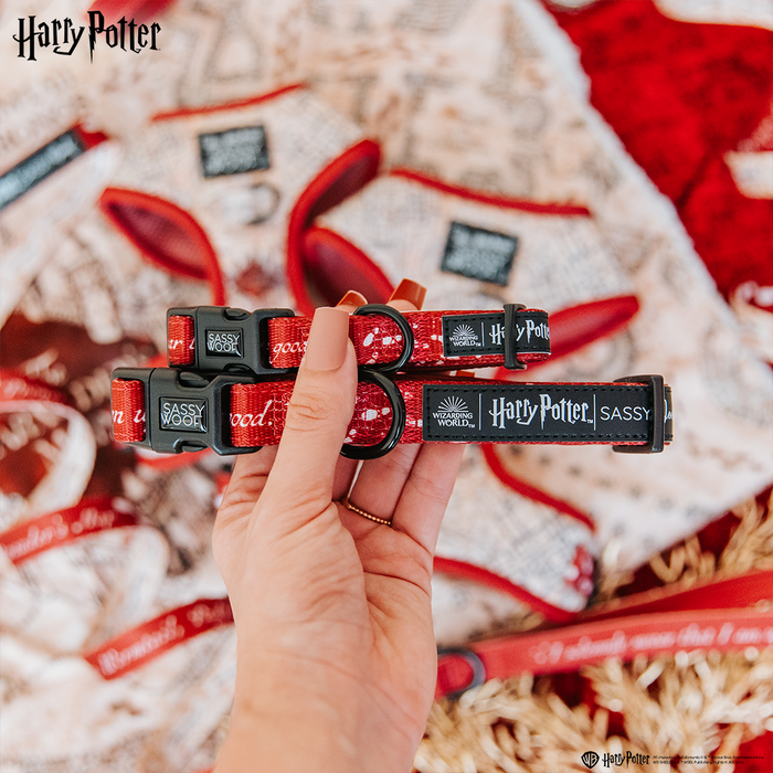 A hand holds two red Sassy Woof dog collars featuring the Harry Potter™ Marauder's Map™ design. Harry Potter-themed stockings and cozy textiles appear in the background, capturing the magic of a Potter-inspired collar.