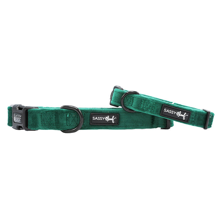 Two Sassy Woof “Dog Collar - Nice” green velvet collars with black plastic buckles and metal D-rings are perfect holiday dog accessories, each stylishly presented on a white background.