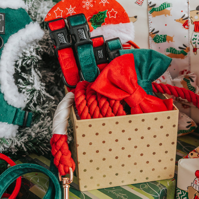 A festive Sassy Woof “Dog Collar - Nice” sits among Christmas decorations and wrapping paper, surrounded by holiday accessories like adjustable harnesses, red and green leashes, collars, and bows in a polka dot box.
