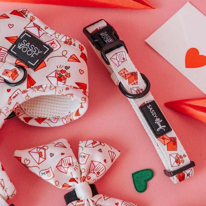 Explore the Sassy Woof Dog Collar - P.S. I Woof You—an adjustable dog collar and leash set that grows with your puppy, offering comfort and security for every walk and stage of your puppy’s development.