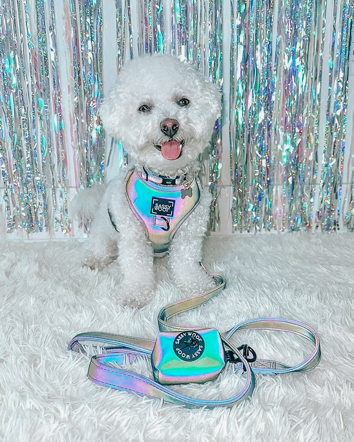INFLUENCER_CONTENT | @BINGSUTHEBICHON | SIZE XS