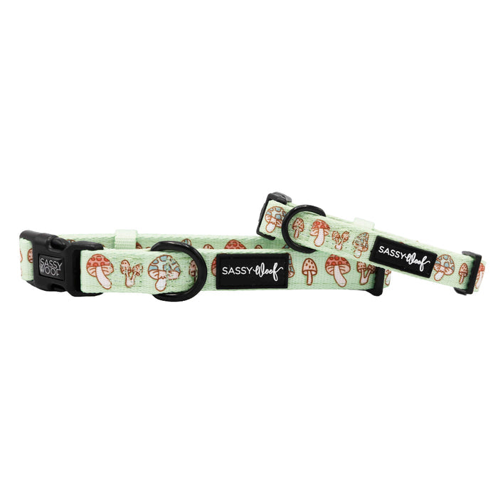 Two Sassy Woof "Shrooms & Blooms" dog collars, light green with a mushroom pattern, adjustable with black buckles and hardware, and made of soft neoprene for comfort.