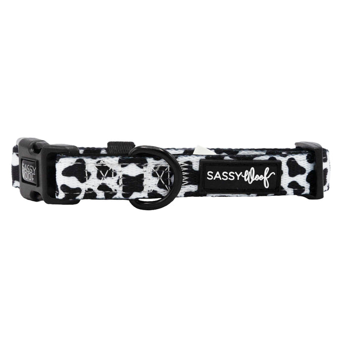 The Sassy Woof "Whole Milk" dog collar features a black and white cow print, sturdy black buckle, metal ring, and branded label—perfect for pups who love to stand out.
