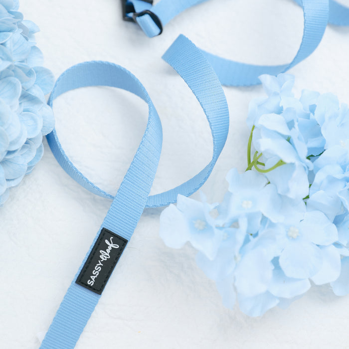 The Sassy Woof Dog Leash - Hydrangea, featuring a black brand tag, is displayed on a white surface beside light blue hydrangea flower clusters.