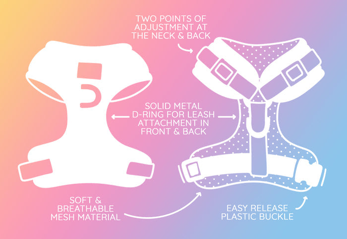 The Sassy Woof Dog Two Piece Bundle – Shell Yeah features an adjustable harness with two adjustment points at the neck and back, solid metal D-rings, soft breathable mesh, and an easy-release buckle—great for beach outings with your pup.