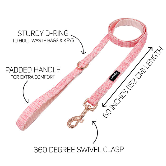The Sassy Woof Dog Two Piece Bundle in Dolce Rose includes a pink leash with padded handle, sturdy D-ring for waste bags or keys, 360° swivel clasp, and 60-inch (152 cm) length. Feature labels are displayed on a white background.