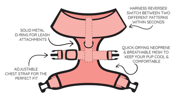Illustration of the Sassy Woof Dog Two Piece Bundle - Dolce Rose, showing labeled features: solid metal D-ring for leash, adjustable chest strap, and quick-drying, breathable neoprene and mesh fabric.