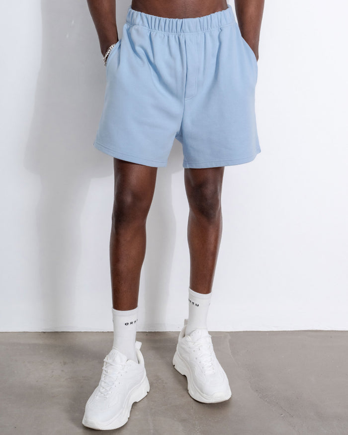 Sandro Shorts