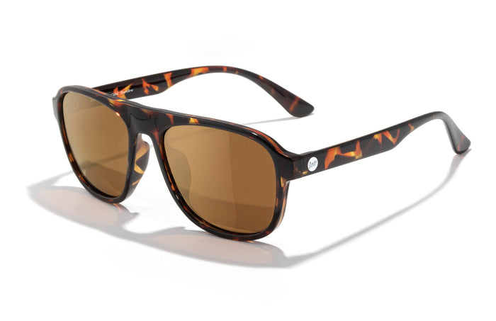 #color_tortoise-bronze