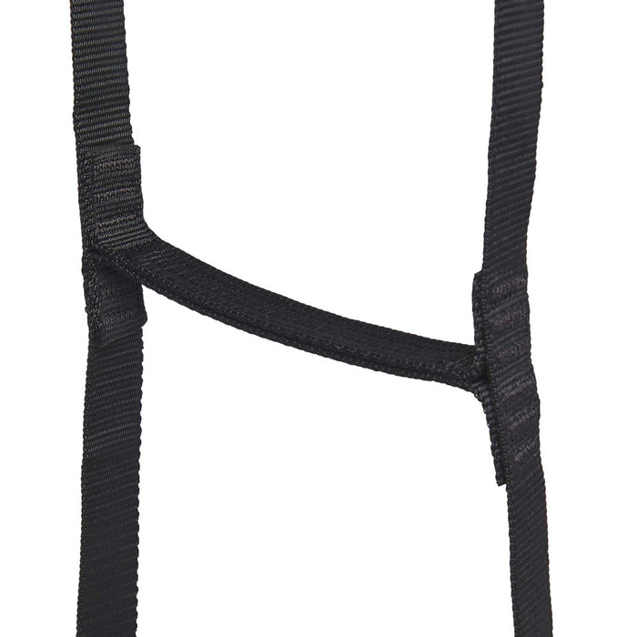 StepUp 6 Ladder