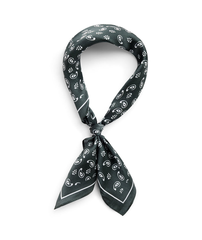Urban Pioneers Uni Stockholm Scarf SCARF FOREST NIGHT