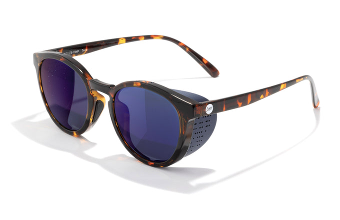 #color_tortoise-indigo
