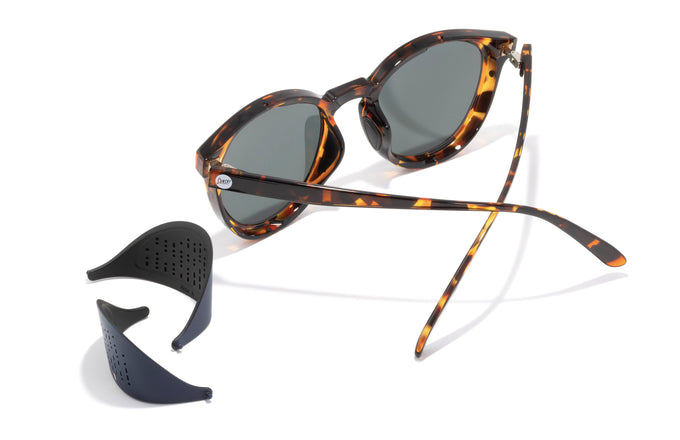 #color_tortoise-indigo