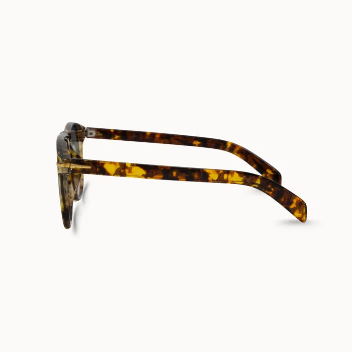 The Jax Sunnies - Brown - One Eleven Olive Boutique