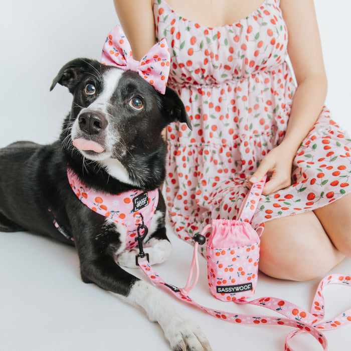 A black and white dog in a pink cherry-patterned bow and harness lies beside a person wearing a matching cherry dress, holding a pink leash and the Sassy Woof Treat Pouch - Mon Chérry, all set against a white background.