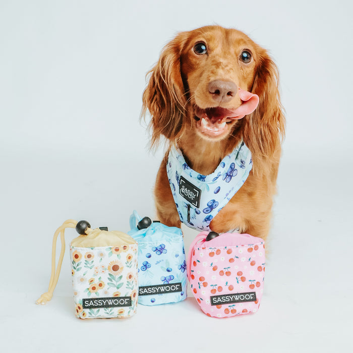 A brown dog with its tongue out, wearing a blue-patterned bandana, sits beside three Sassy Woof Treat Pouch - Mon Chérry bags featuring blue, yellow, and pink floral designs.