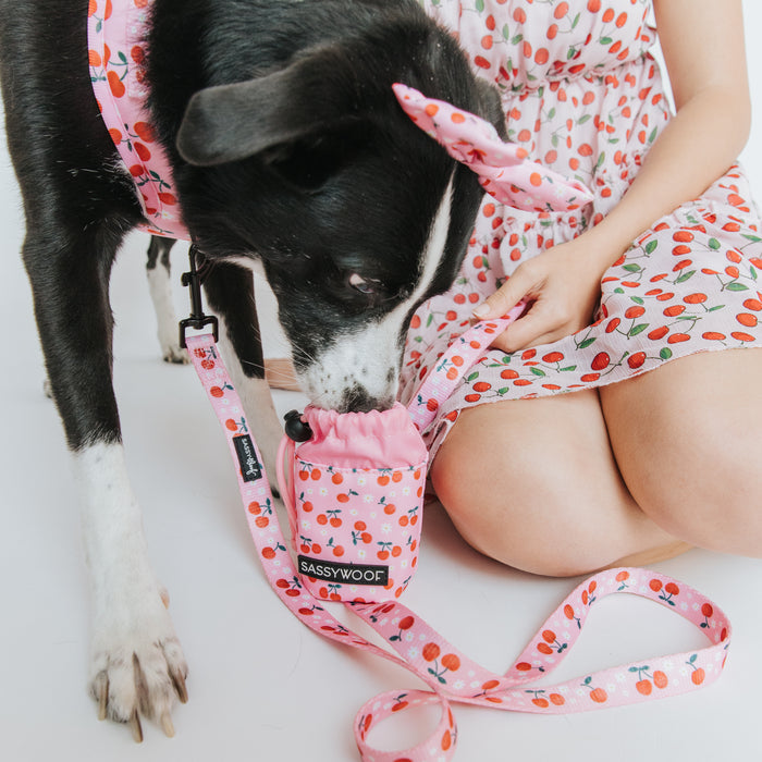 A black and white dog in a pink cherry harness and headband eats from the Sassy Woof Treat Pouch - Mon Chérry, held by someone in a cherry-print dress, sitting cross-legged on the floor.
